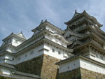 Amazing Castle.jpg